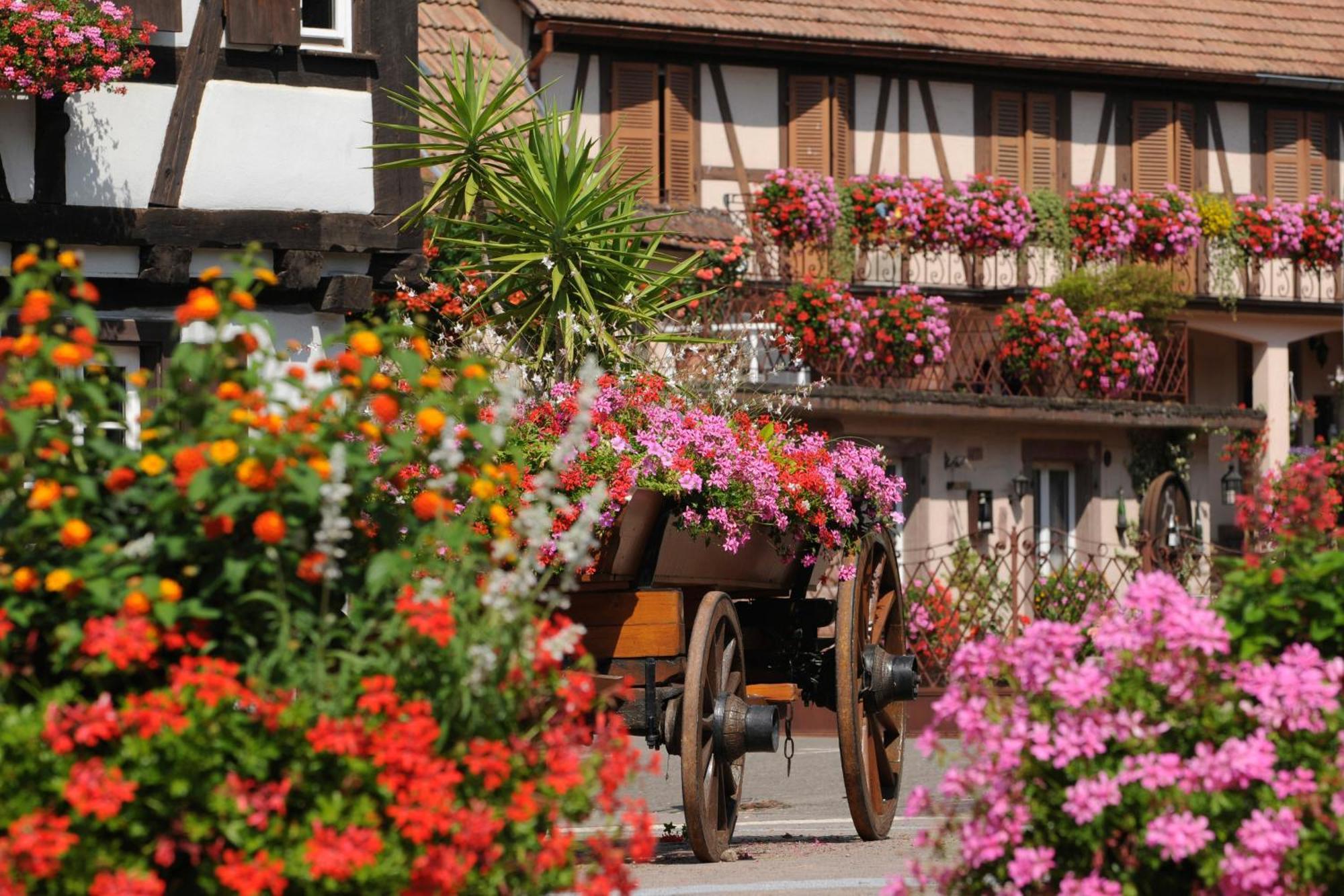 Gite Jeanne Familial - Calme - Parking Ebersheim Exterior photo